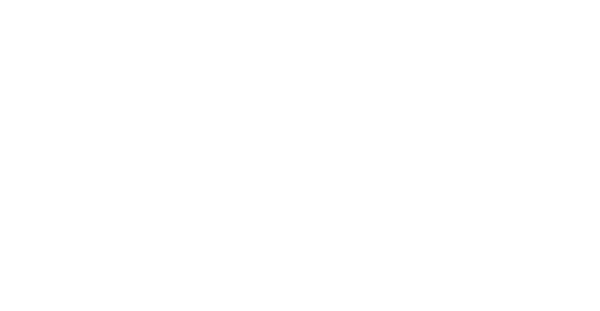 IDEI Hosting